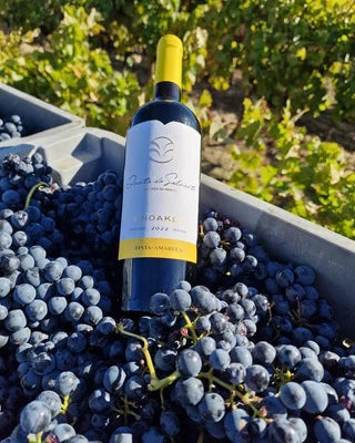 Tinta Amarela — Quinta do Salvante