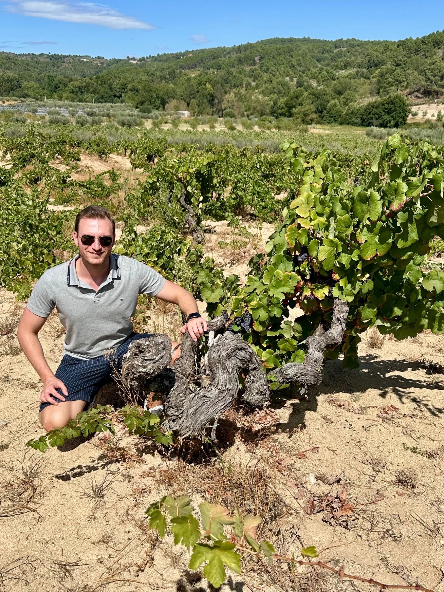 Visita às vinhas da Quinta do Salvante