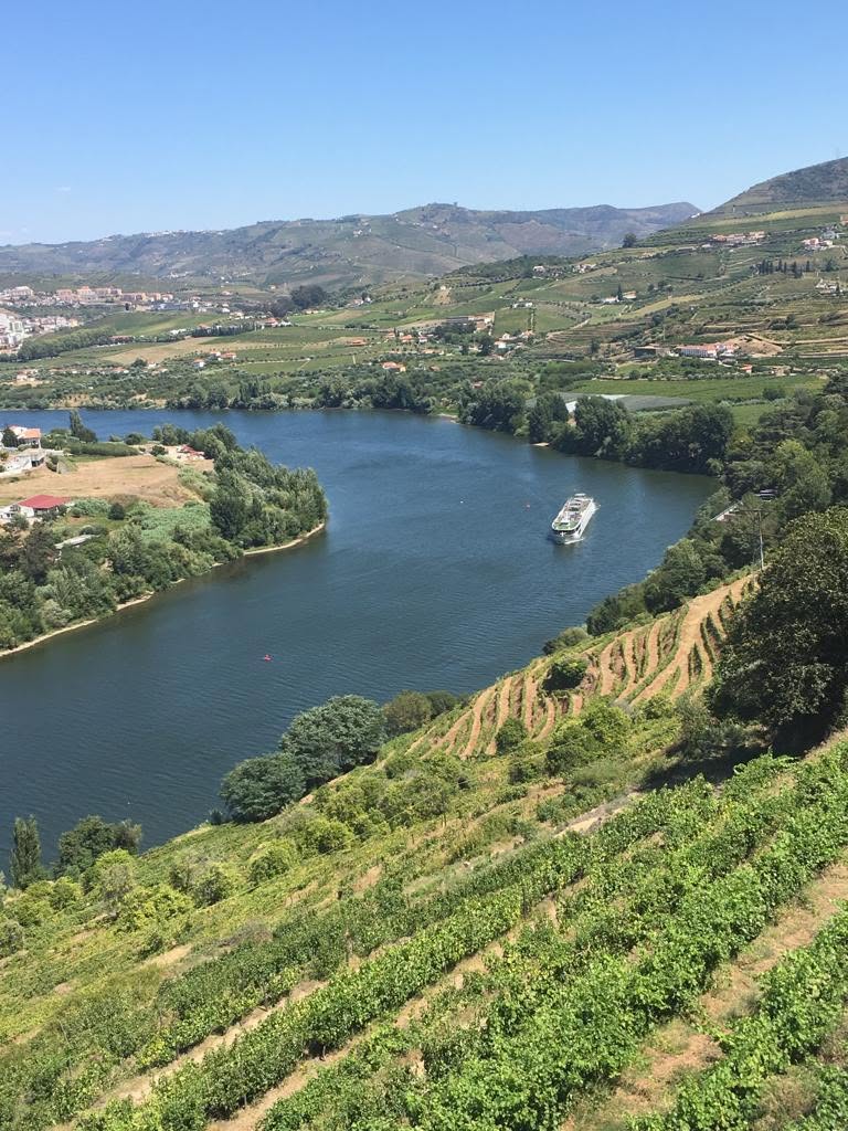 Vinho da Quinta do Barriolo