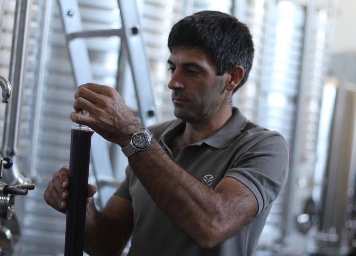 Quinta do Salvante | Trás-os-Montes Wines | Cave Tirsense — work and cellar
