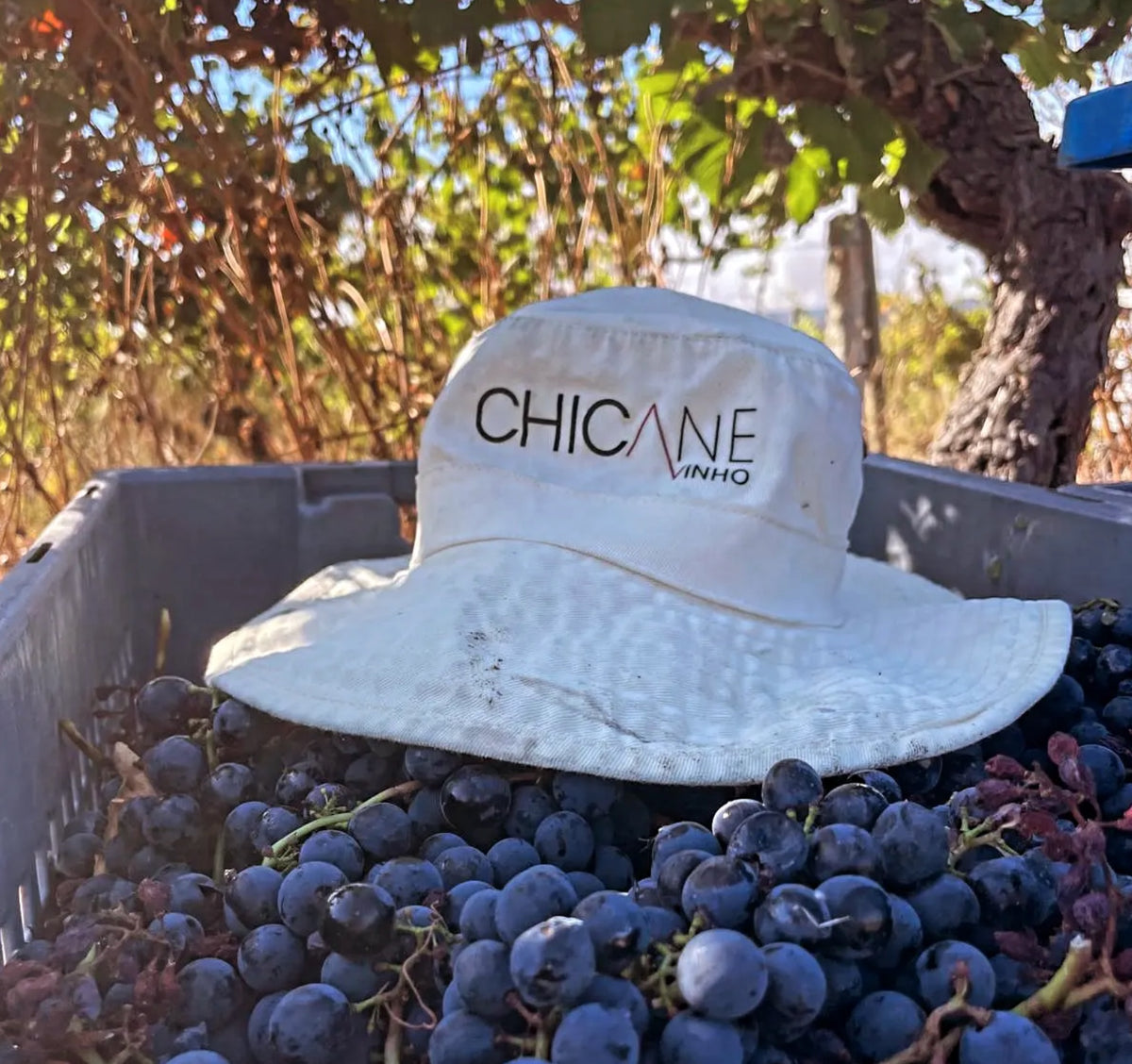 Chicane | Dão Wines | Cave Tirsense — origin