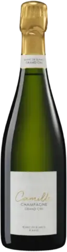 Millésime 2021 Grand Cru Blanc de Blancs — Champagne Camille Bonville