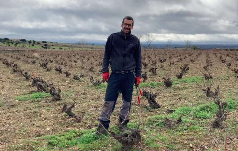 El Hato y El Garabato — work and cellar