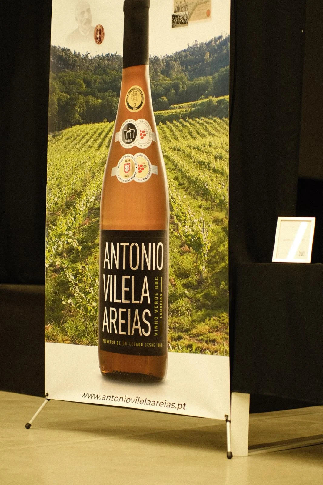 Apresentação dos vinhos António Vilela Areias