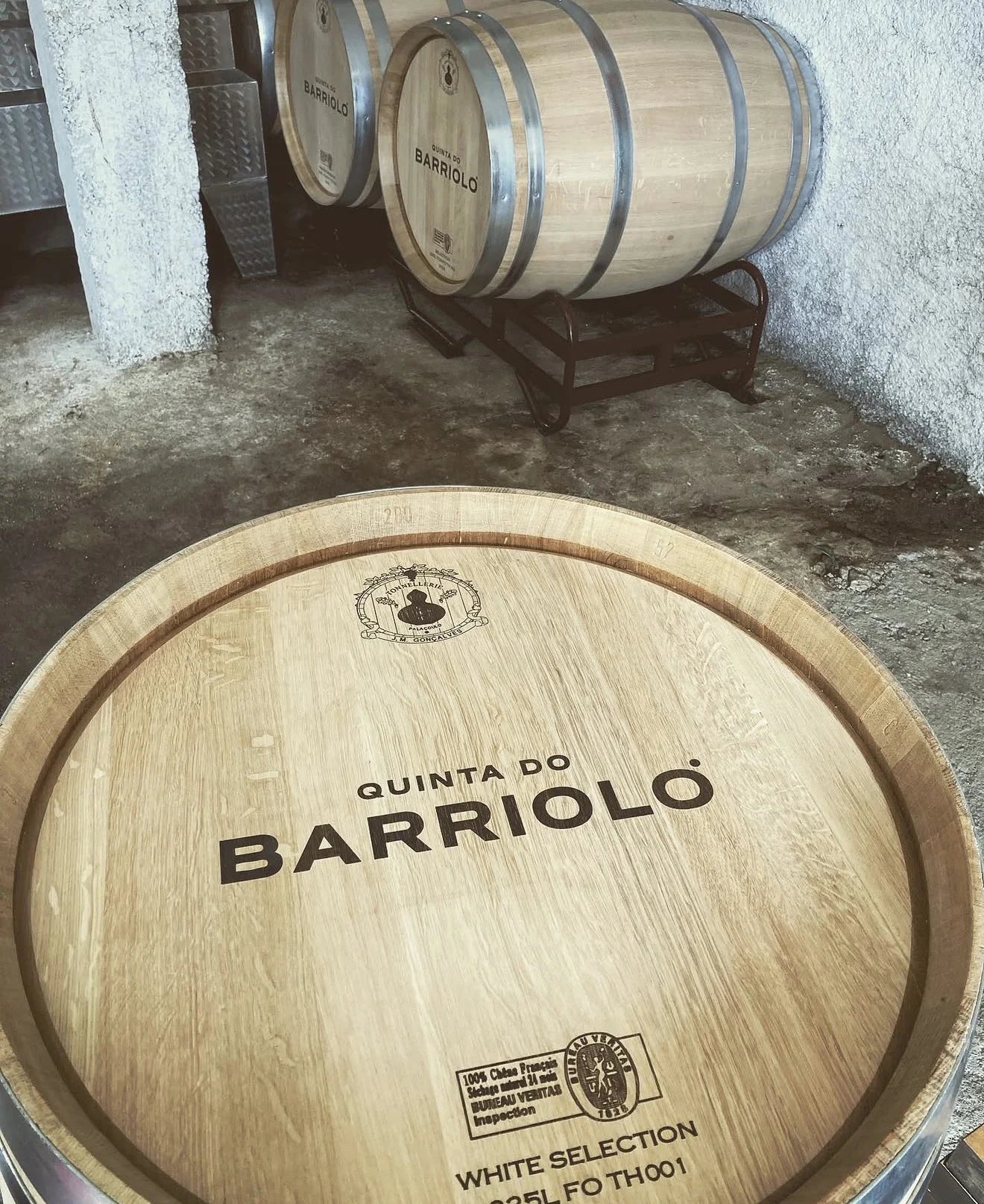 Quinta do Barriolo | Douro Wines | Cave Tirsense