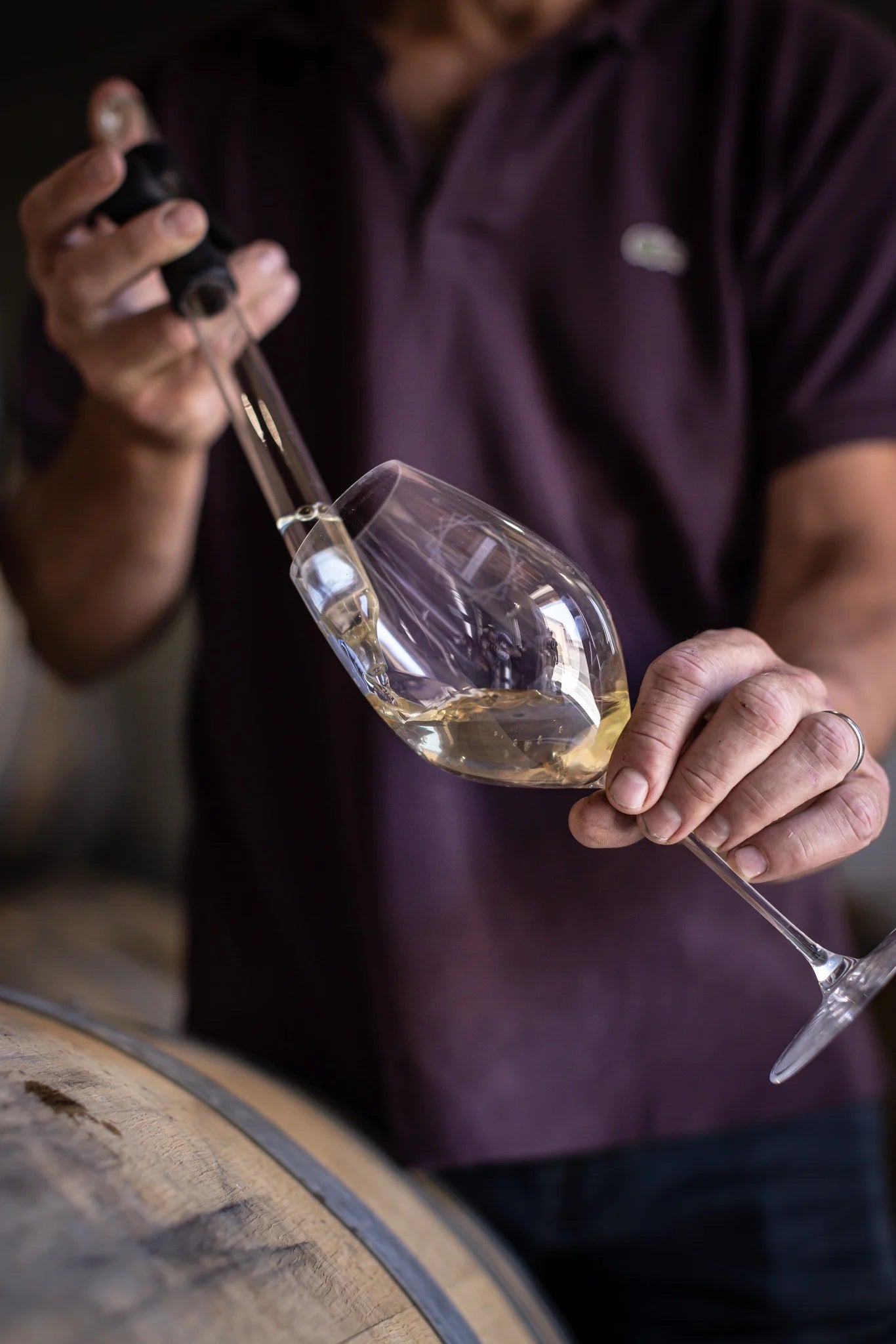 Prova técnica de Champagne Camille