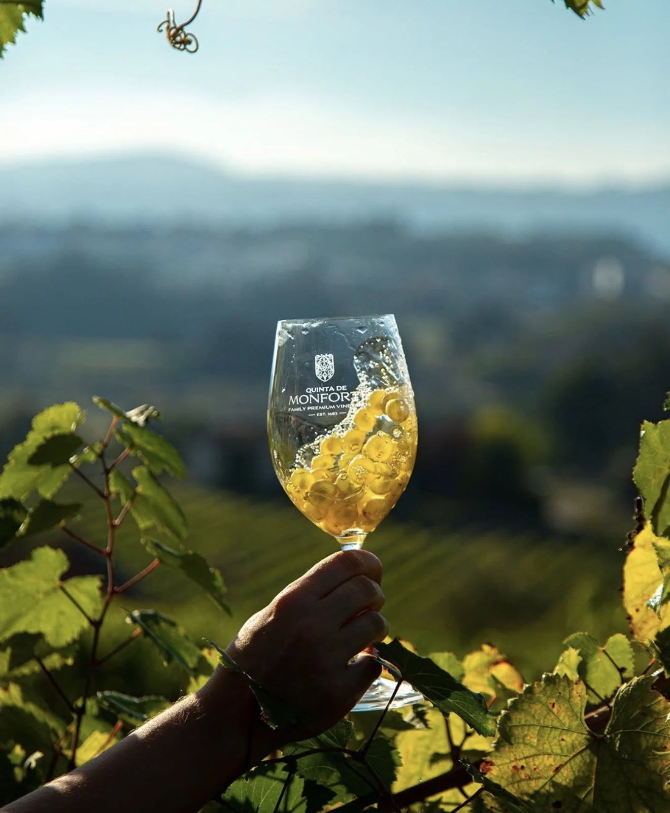 Momento de prova na Quinta de Monforte