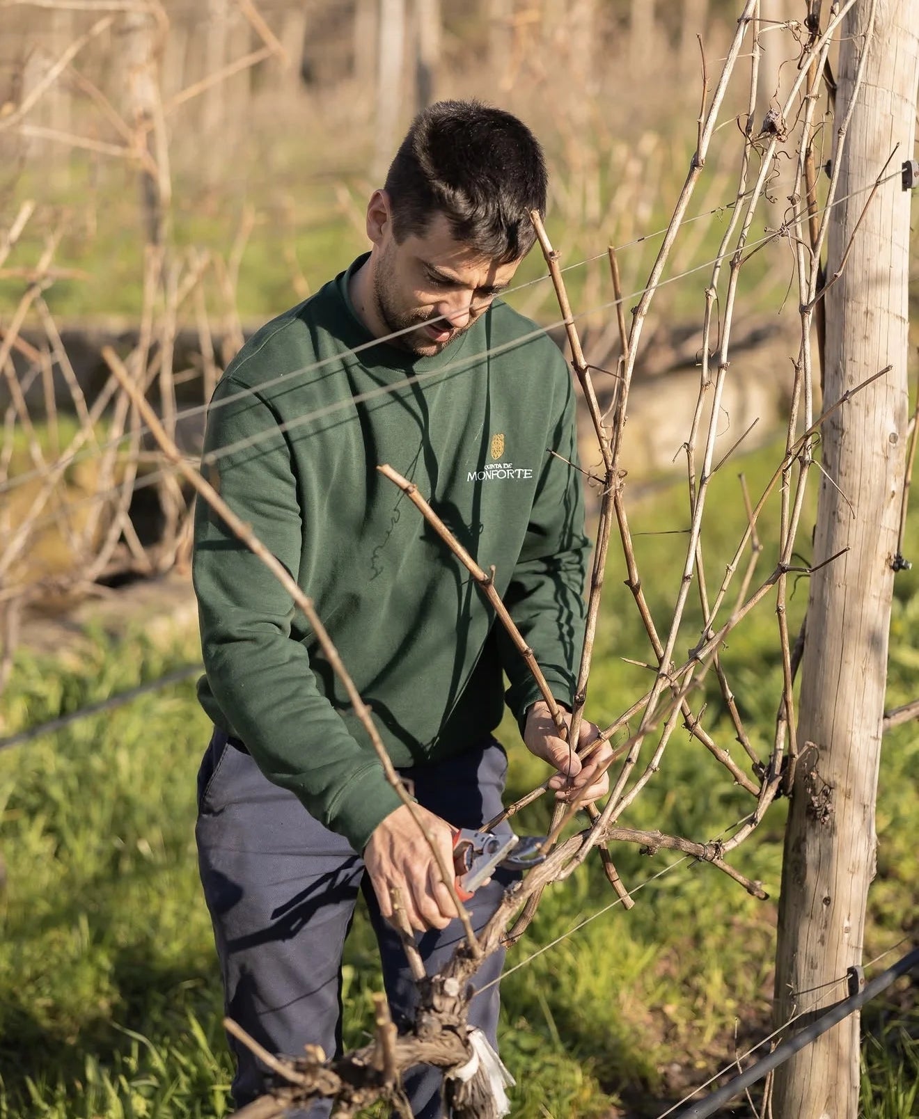 Quinta de Monforte
