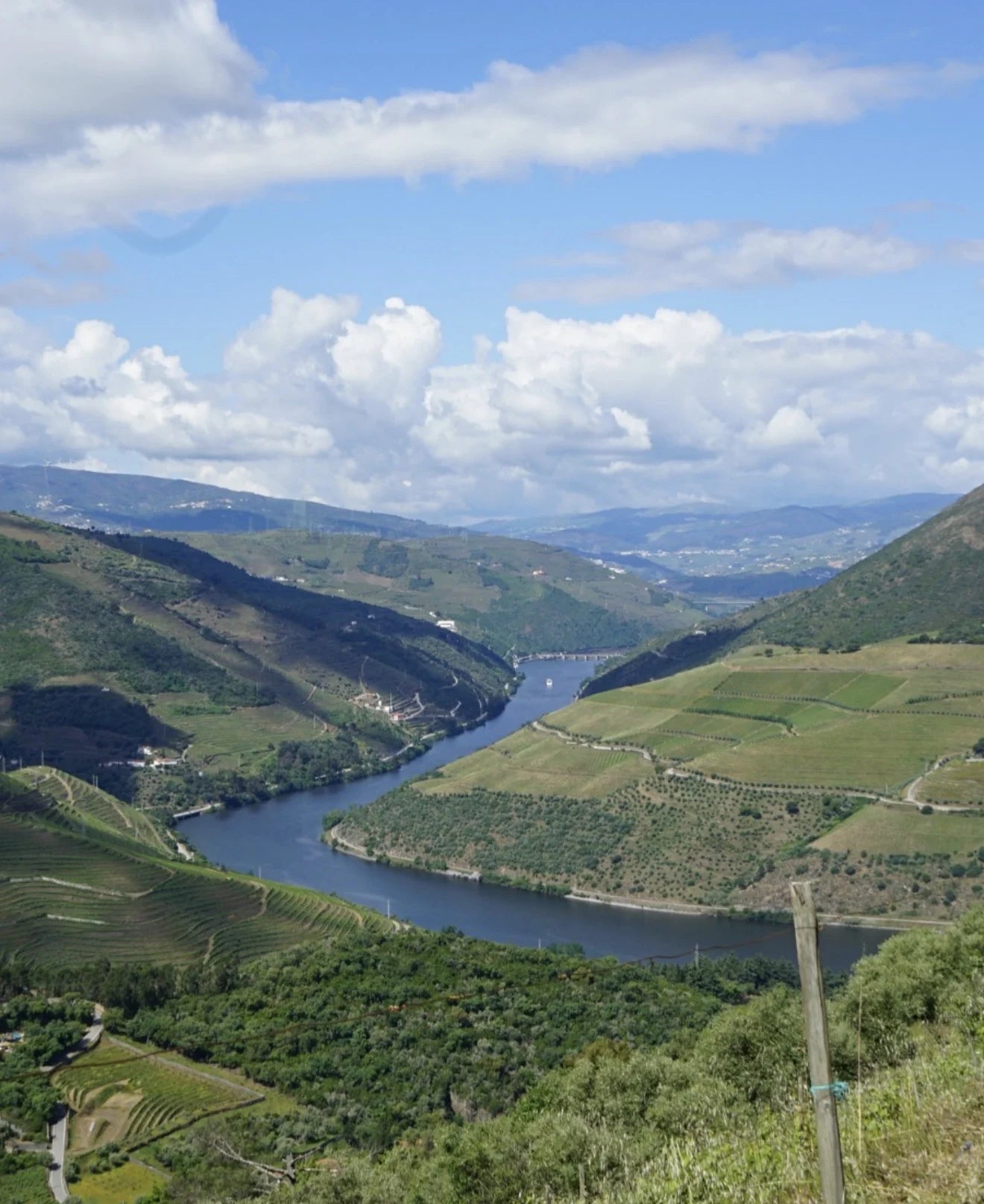Paisagem do Douro e vinhas da Casa da Réssa