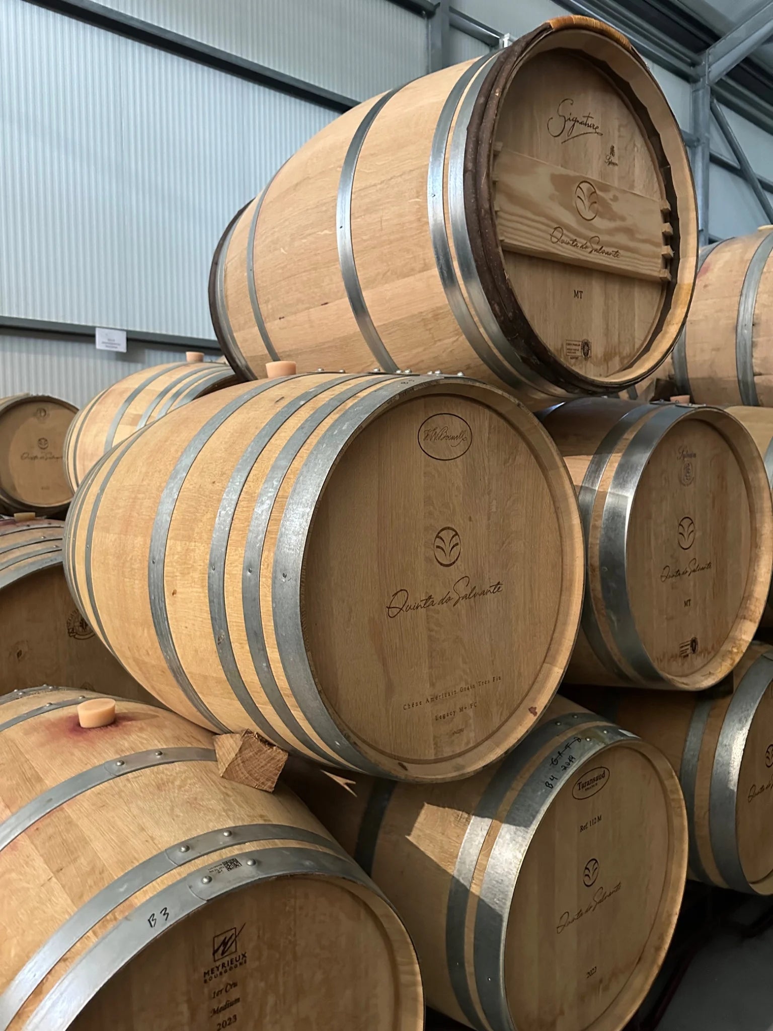 Quinta do Salvante | Trás-os-Montes Wines | Cave Tirsense